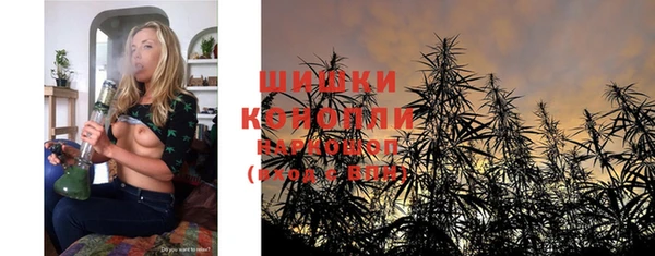 дурь Алзамай