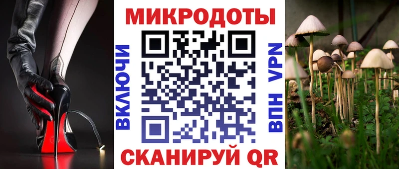 Галлюциногенные грибы Psilocybine cubensis  Бийск 