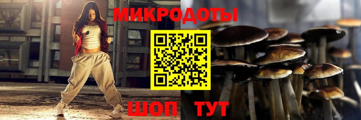 Галлюциногенные грибы MAGIC MUSHROOMS Бийск