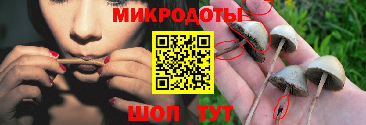 Бийск  Галлюциногенные грибы прущие грибы  Галлюциногенные грибы Magic Shrooms  Вход с VPN 